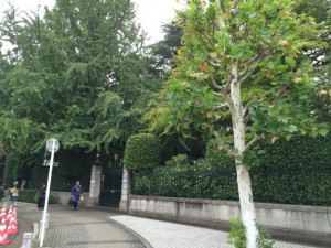 オランダ大使館