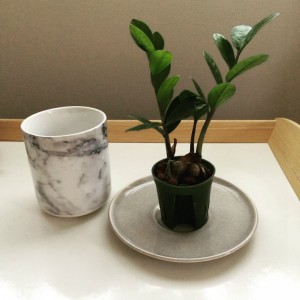sIMG_2851