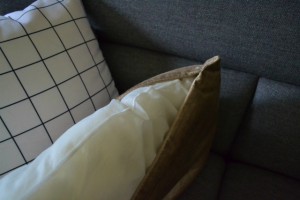 sDSC_0398