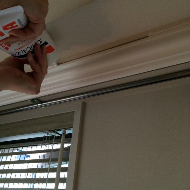 sIMG_2915