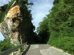 sIMG_3396